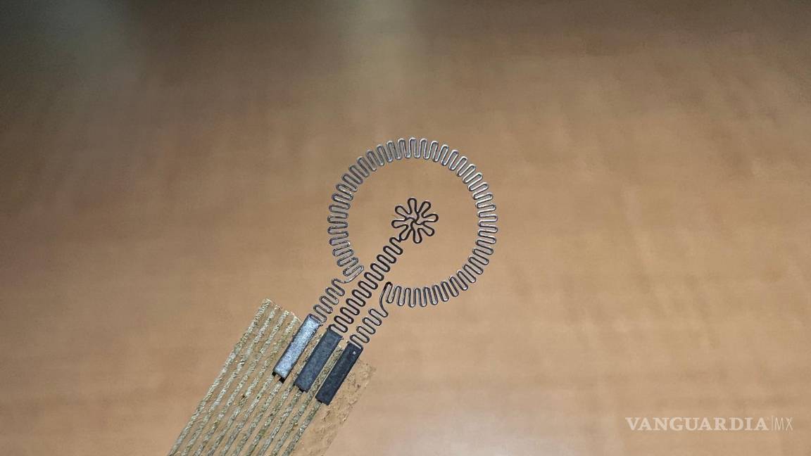 $!Vista cercana del electrodo del dispositivo.