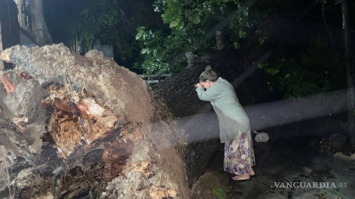 'Mi árbol se fue', mujer llora a nogal de más de 100 años arrancado por 'Hanna' en Nuevo León