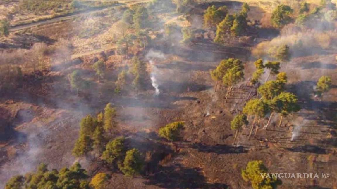 $!Incendio consume el 'Bosque de los Cien Acres' de Winnie the Pooh