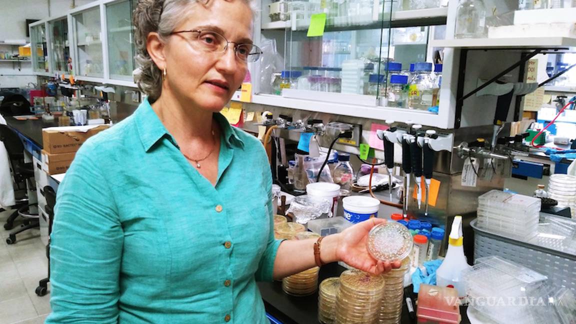 $!Científicos mexicanos patentan método para diagnosticar infección sanguínea