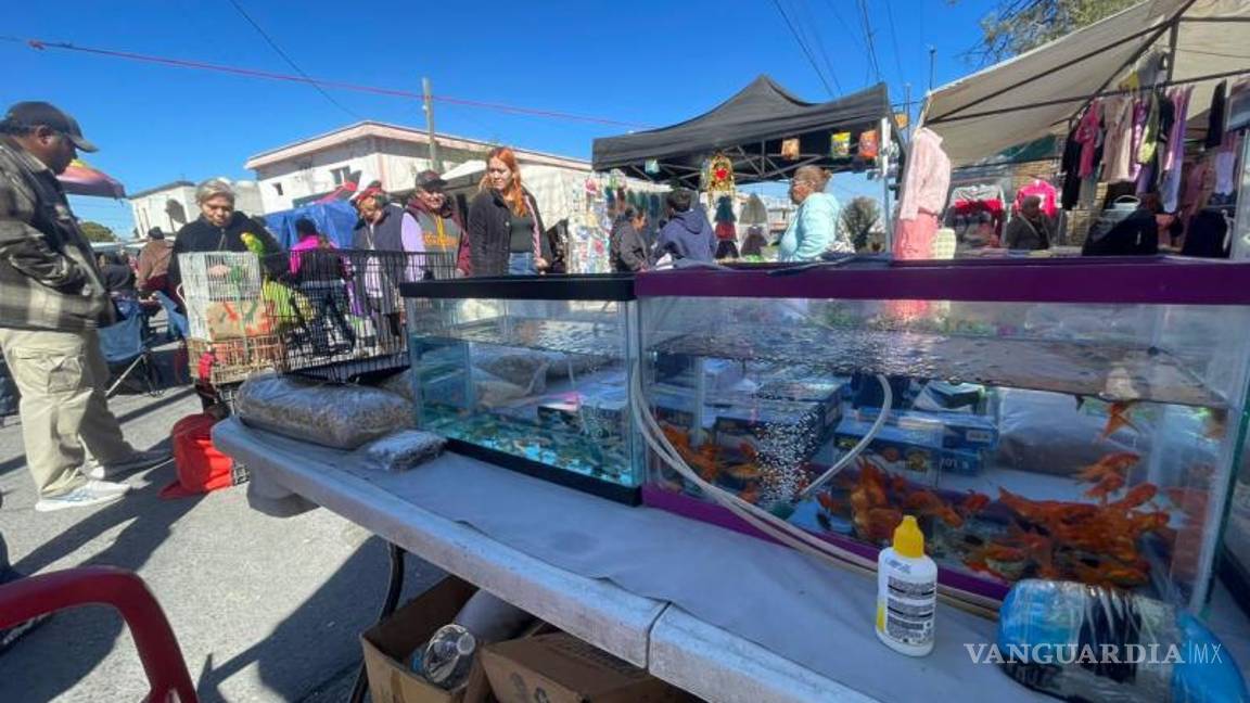 $!Comerciantes evitaron ser entrevistados y algunos se movieron de lugar para no ser fotografiados durante el recorrido periodístico.