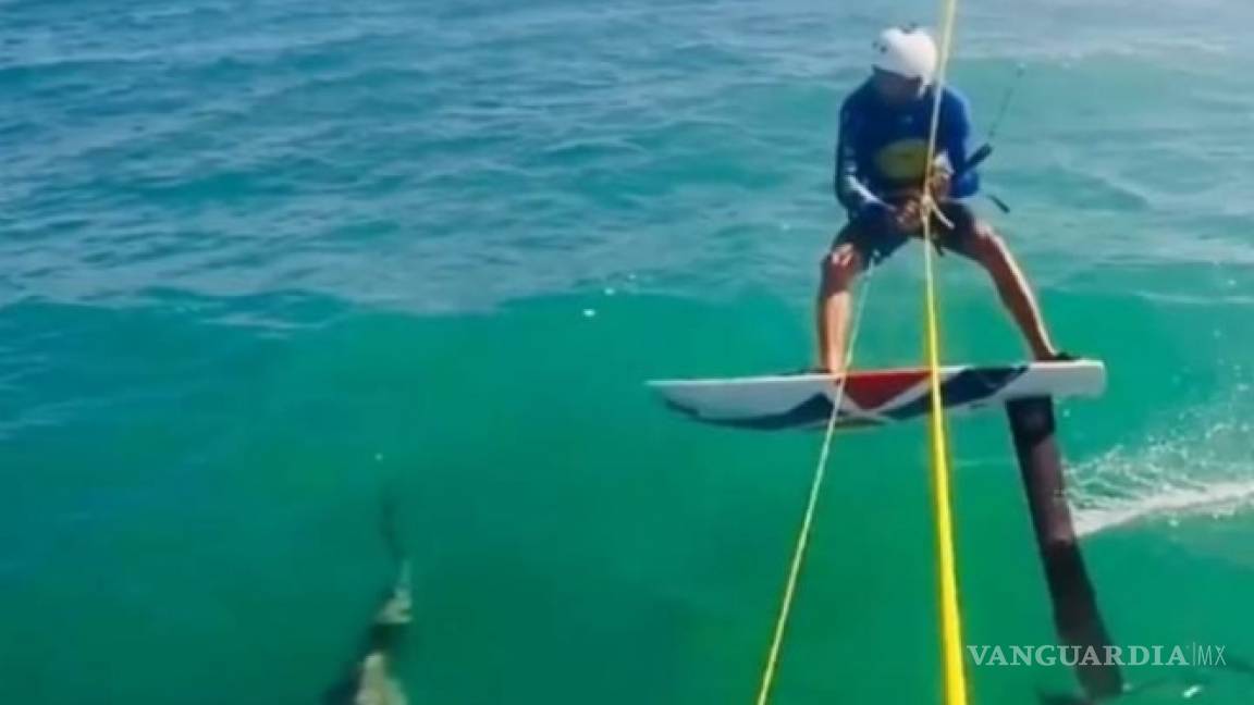 Surfista choca con un tiburón mientras entrena