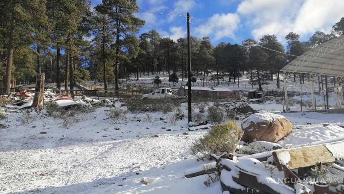 La Rosilla, Durango, registra 15 grados bajo cero