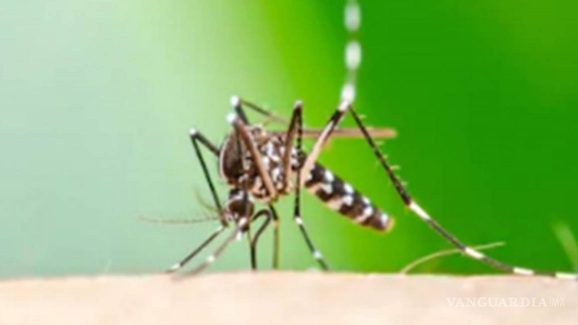 Analiza UNAM epidemia de dengue con modelo matemático
