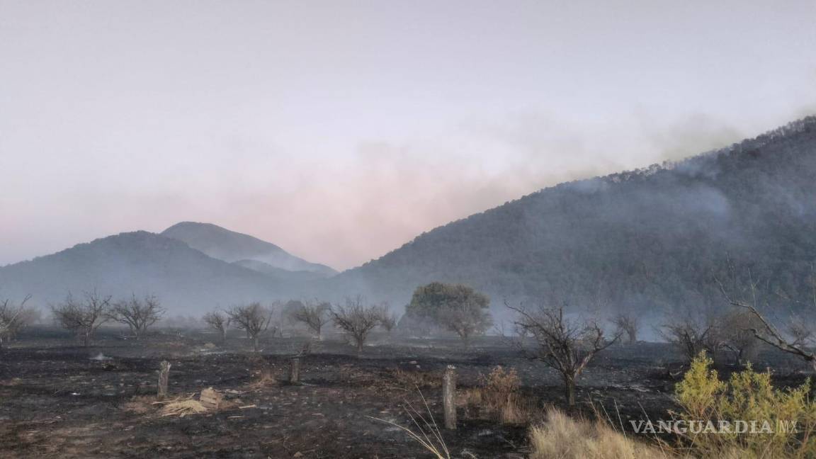 Coahuila, estado con más superficie en riesgo de incendios