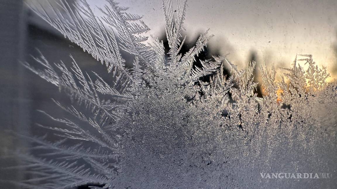 $!Se forman cristales de hielo en la ventana de una cocina en Lowville, Nueva York, el sábado 24 de enero de 2026.