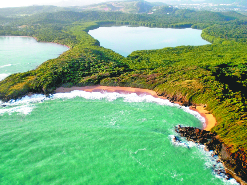 $!Puerto Rico y sus bahías bioluminiscentes