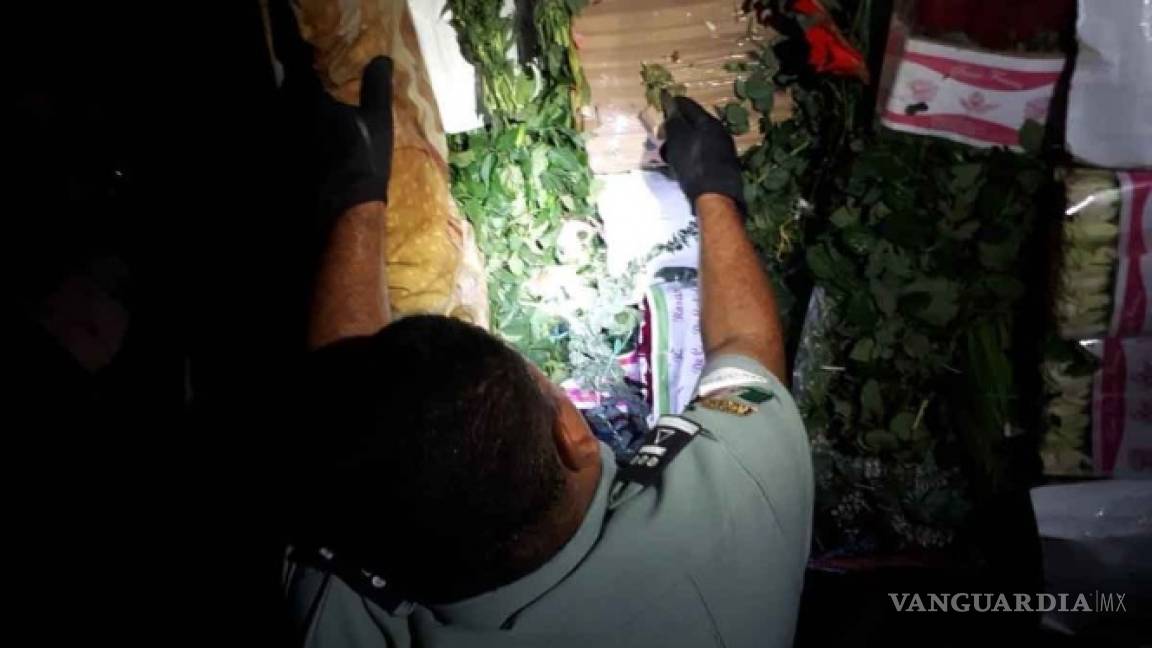 Aseguran 526 kilos de mariguana en camión de flores en Tamaulipas