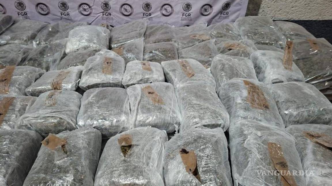 $!Capturan a hombre con 228 kilos de marihuana en General Bravo, Nuevo León