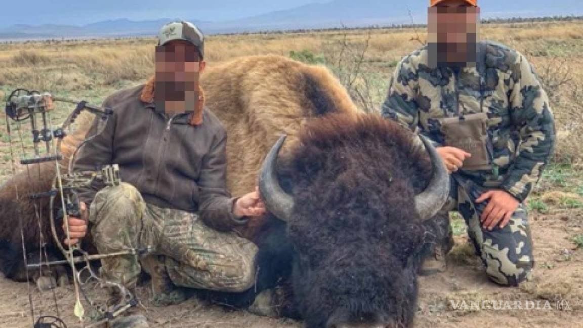 Interpone Coahuila denuncia por caza ilegal de bisonte, Profepa da tibia respuesta