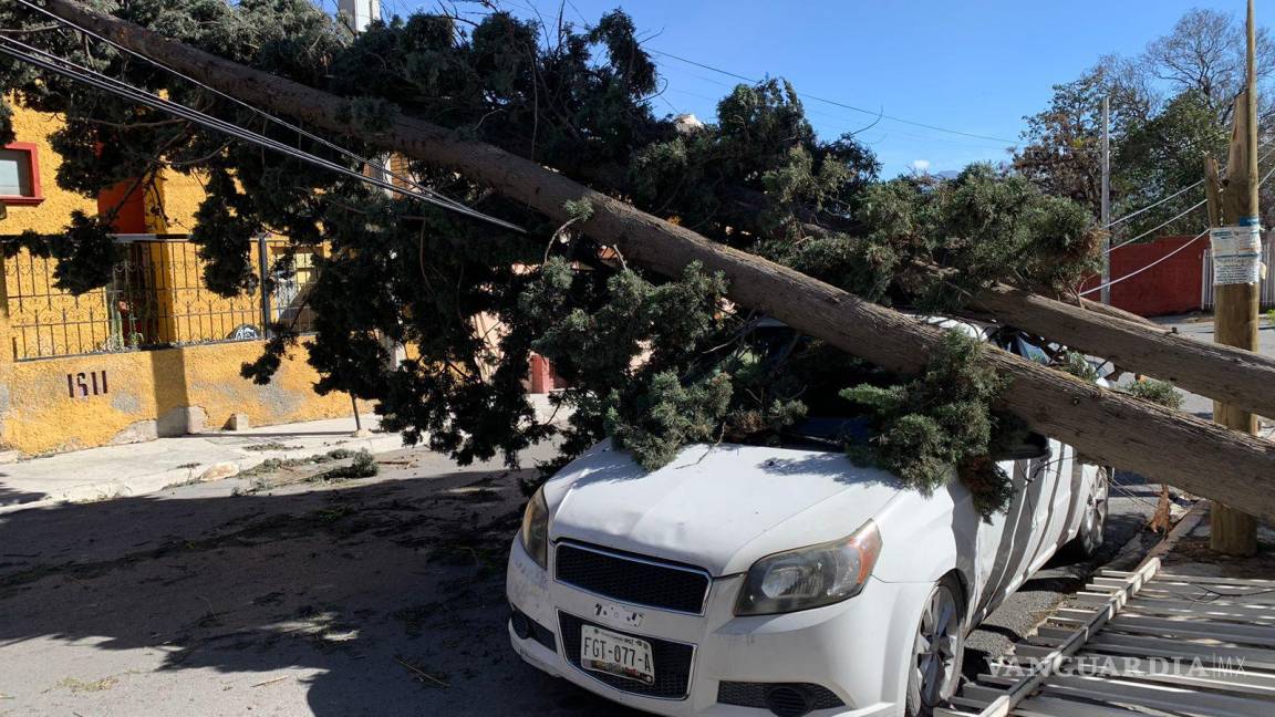 Se han recibido 25 reportes de incidentes por fuertes vientos: Protección Civil de Saltillo