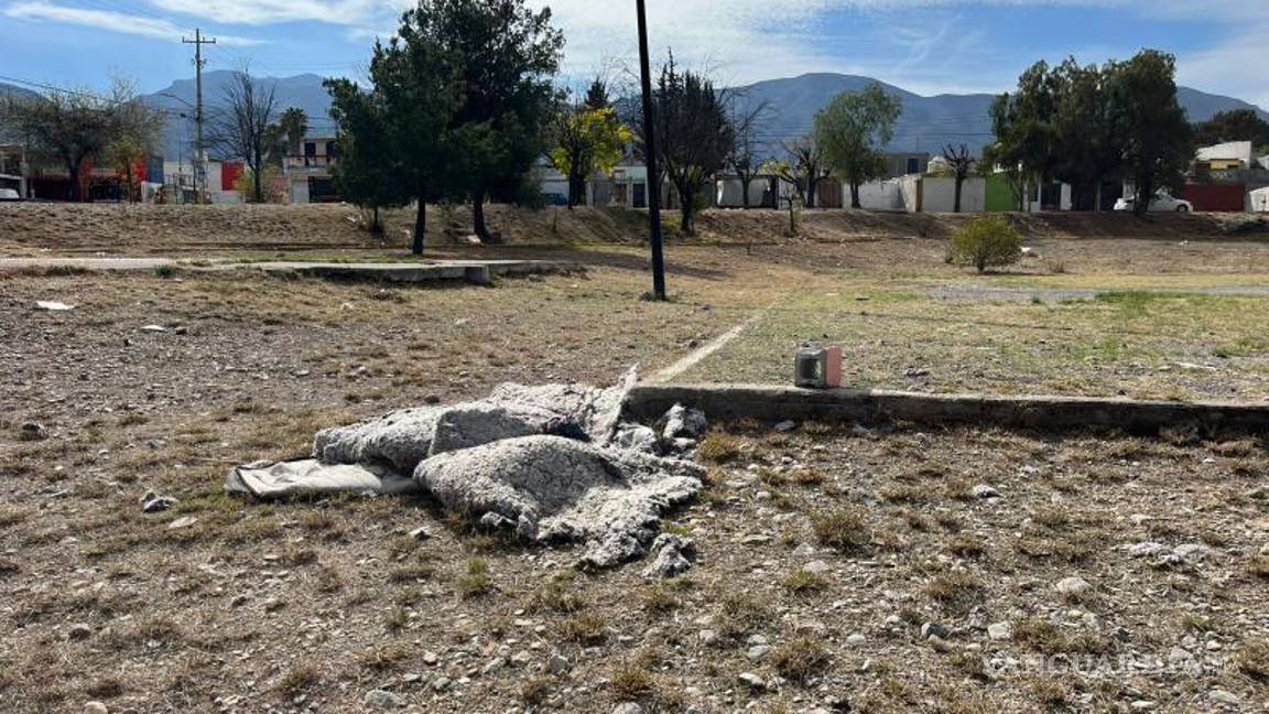 $!Lo que fue una cancha, hoy es losa cubierta por pastizal seco.