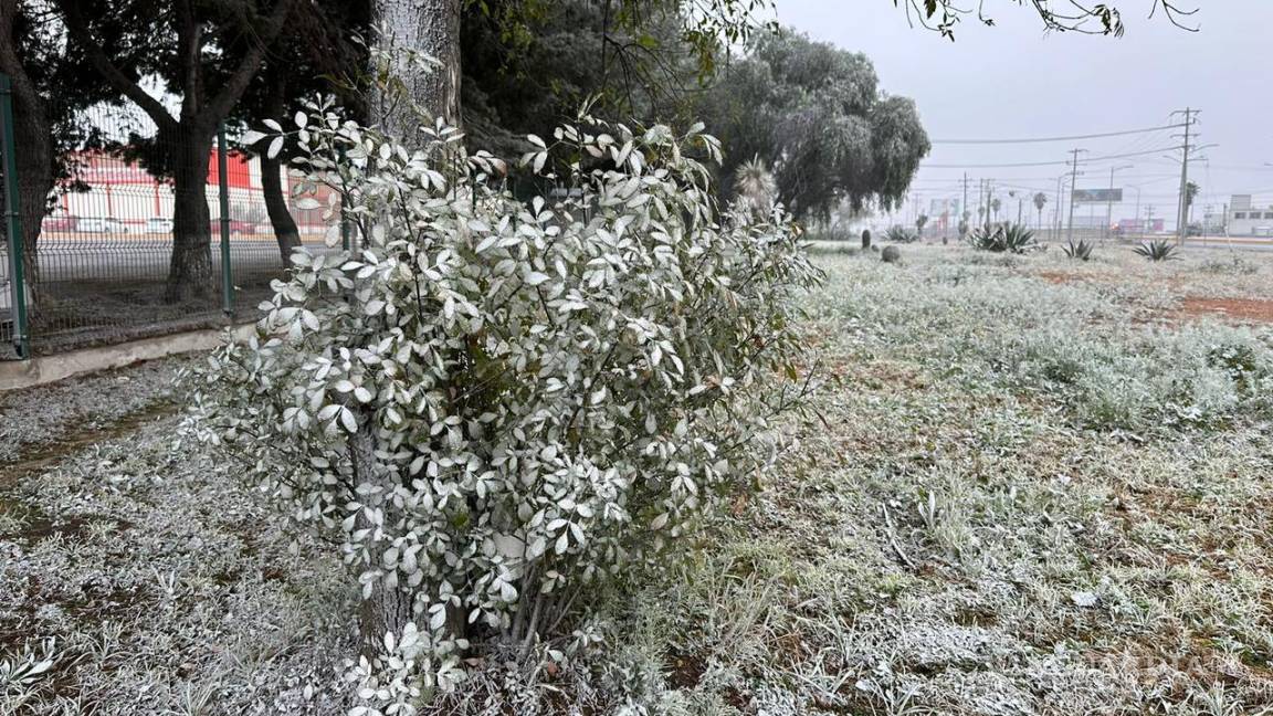 Ramos Arizpe se viste de blanco con la caída de aguanieve; Frente Frío 27 golpea la región Sureste de Coahuila
