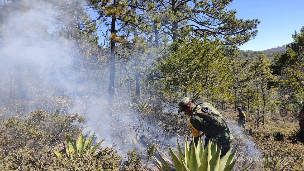 Controlan 80% de incendio forestal registrado en Galeana, NL