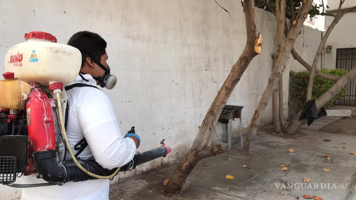 Realiza Salud Municipal de Torreón fumigaciones y sanitizaciones en colonias