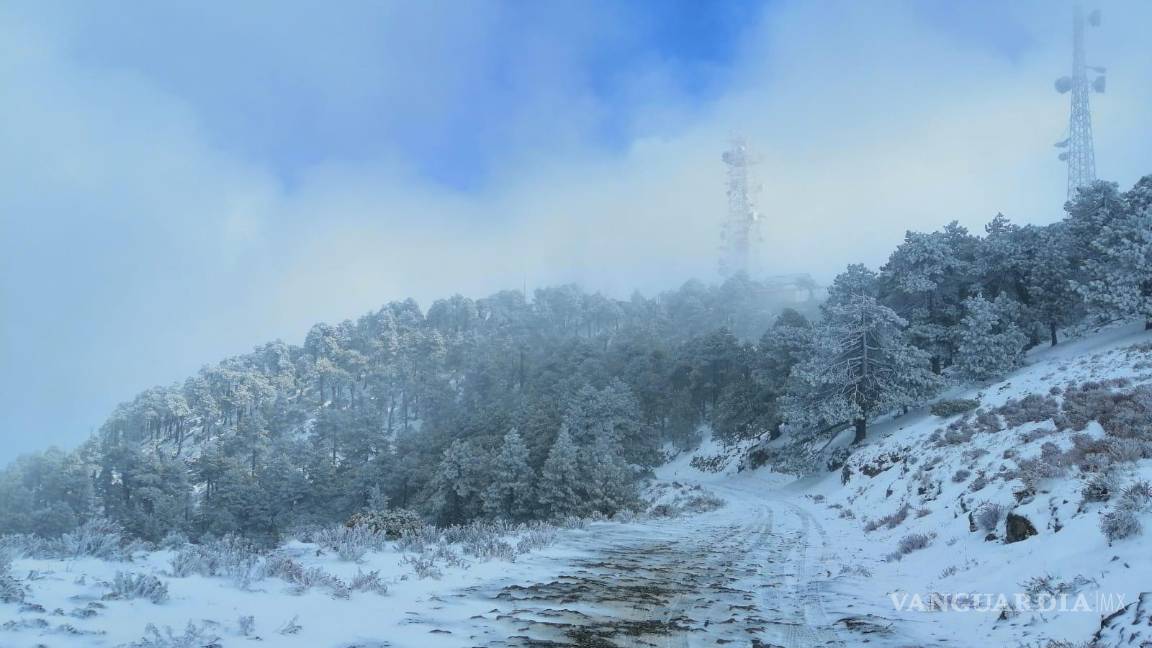 $!En redes sociales también fueron compartidas algunas estampas del paisaje nevado al sur del estado.