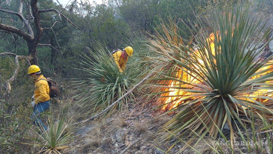 $!Será hasta que finalice el control del incendio que se hará una evaluación precisa de la superficie y vegetación afectadas