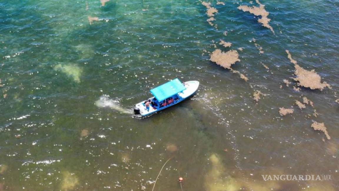 Quintana Roo asegura sus playas y arrecifes en 3.8 mdd