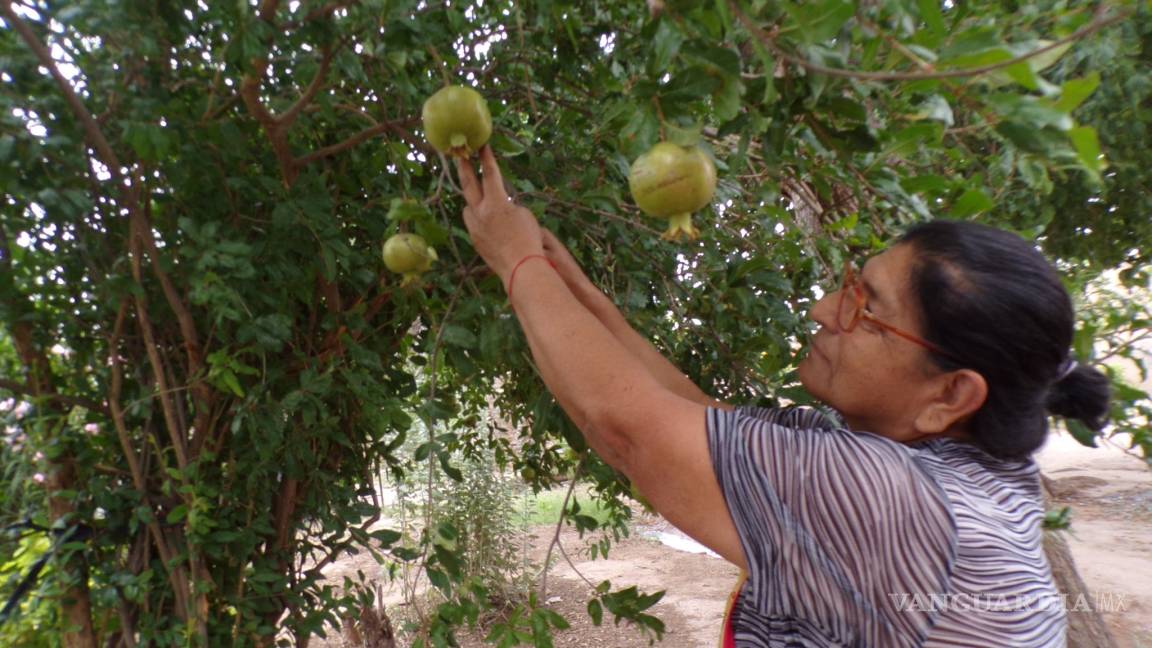 $!En Fermín, ejido de General Cepeda, ya no hay vacas para hacer queso
