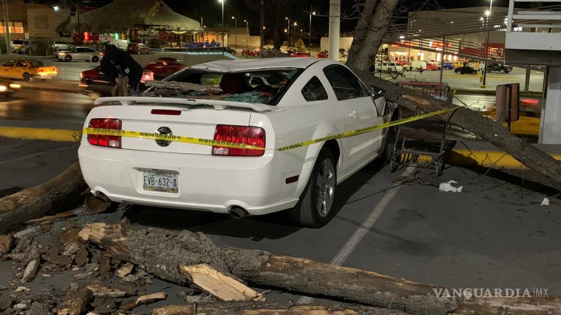 Cae árbol sobre auto en estacionamiento de plaza comercial al sur de Saltillo
