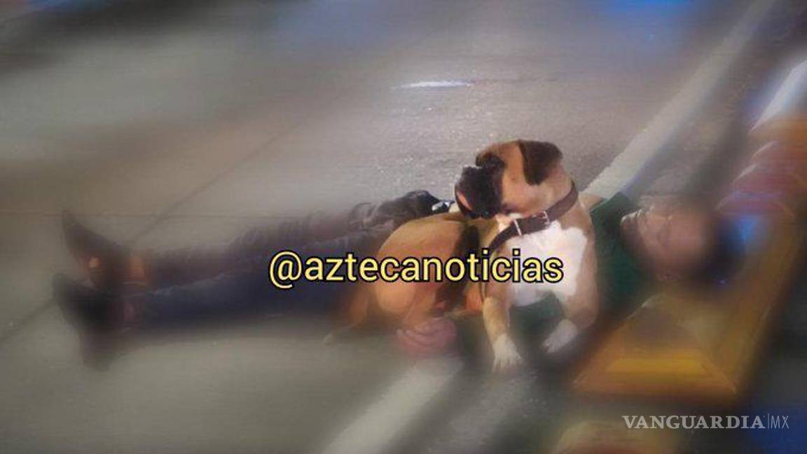 $!Murió atropellado, su perro resguardó su cuerpo por horas