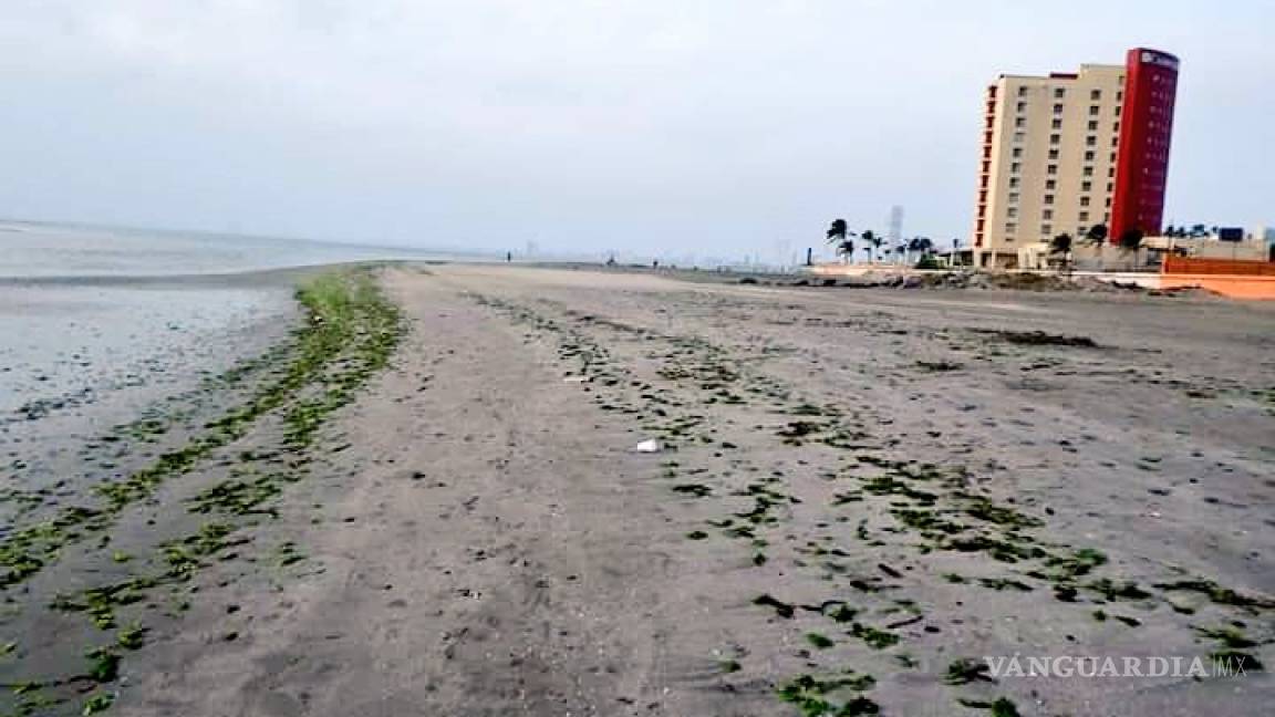 Se aleja el mar también en las playas de Veracruz