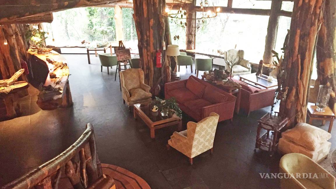 $!Estos son los hoteles más curiosos