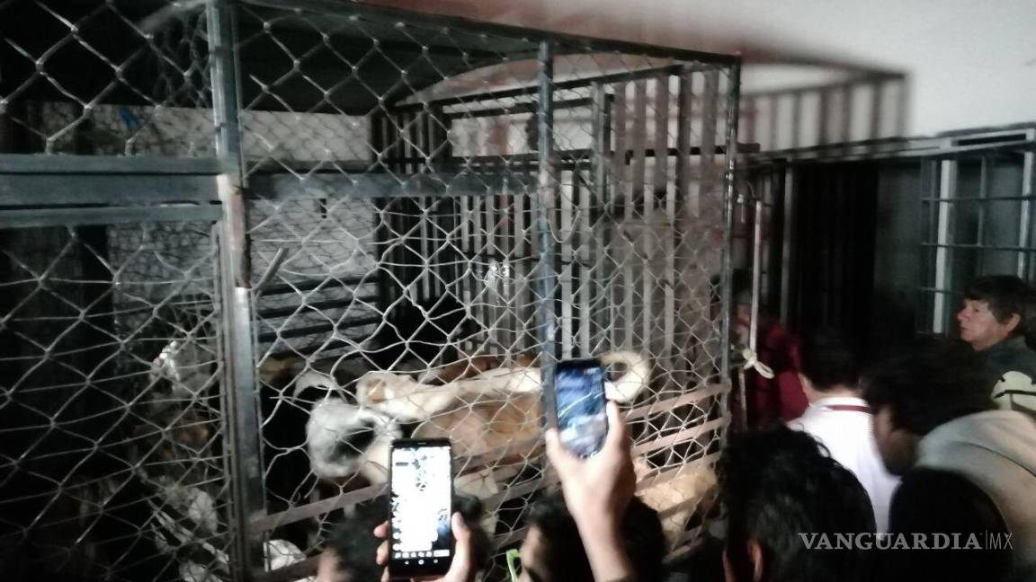 $!Mujer secuestraba perros para comérselos y vender su carne, en Puebla