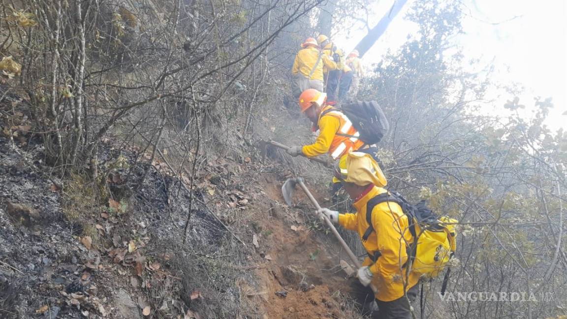 Incendio forestal en Perote, Veracruz, es controlado