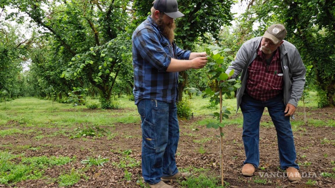 $!Estos son los 10 trabajos más peligrosos en EU