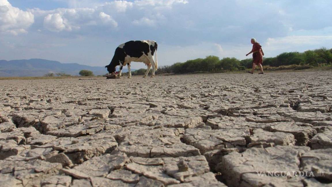 Buscan declarar en Nuevo León emergencia por sequía