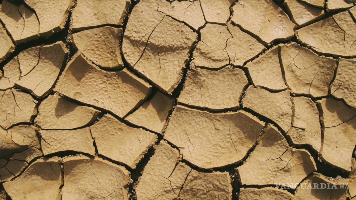 ¿Saltillo es zona de sequías? Se ha registrado este fenómeno desde hace 300 años