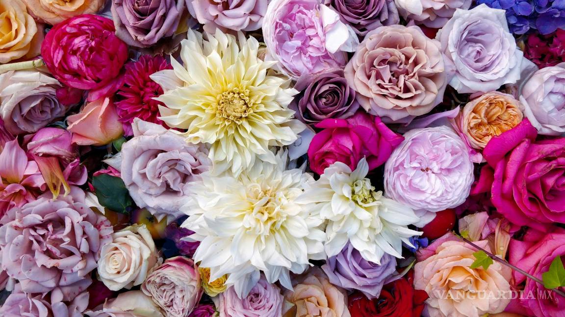 $!Asegúrate de que las flores estén frescas y en buen estado.