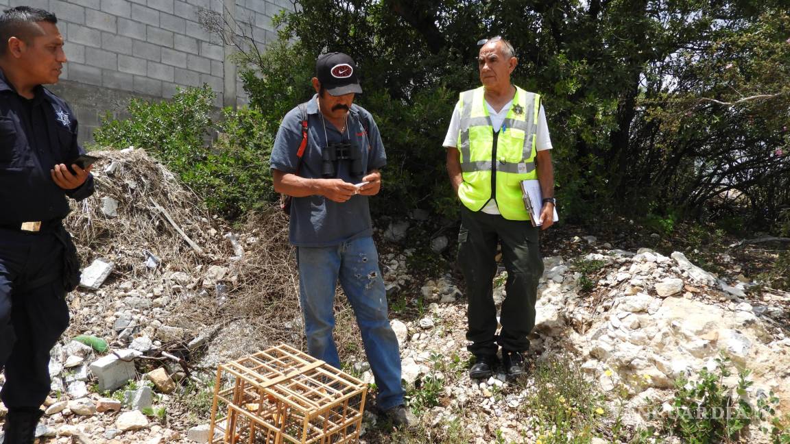 Detectan a presunto traficante de aves en la Sierra de Zapalinamé de Saltillo