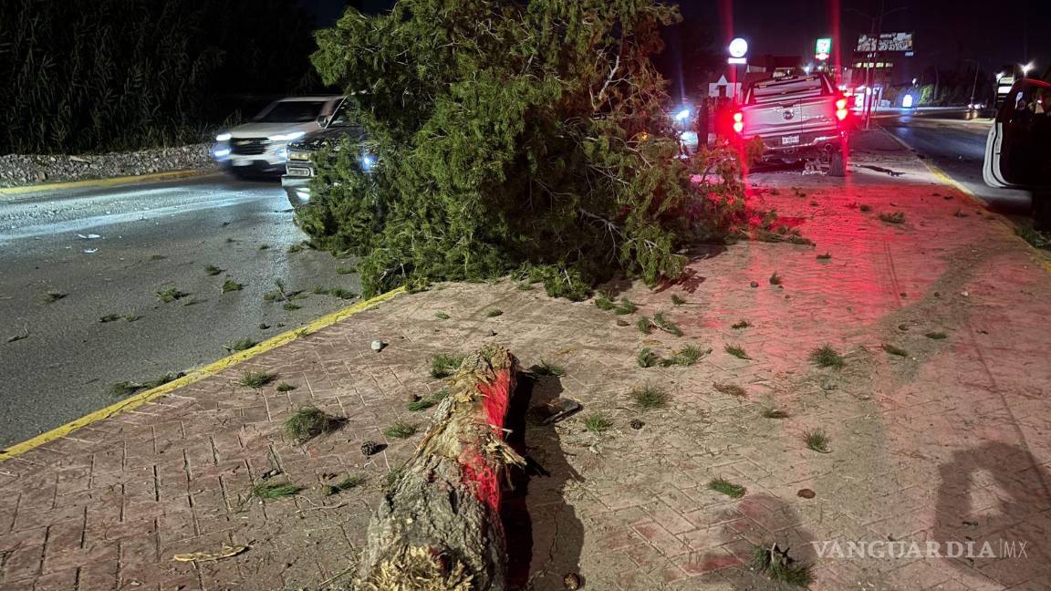 $!Un árbol y una luminaria fueron derribados durante el accidente en la residencial Villa Bonita.