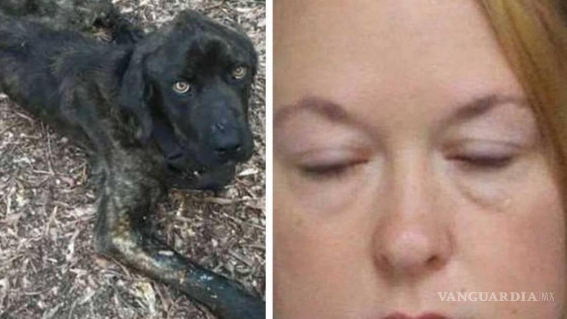 Para vengarse del ex, mujer casi mata de hambre a su perro