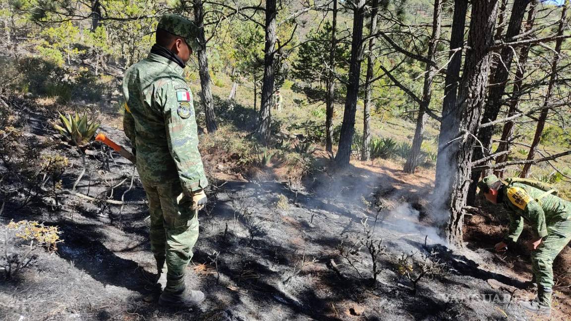 Controlan 80% de incendio forestal registrado en Galeana, NL