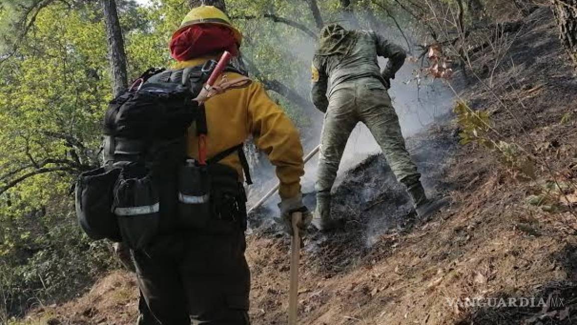 Sofocan tres incendios en NL, en Santiago hay un control del 80 por ciento