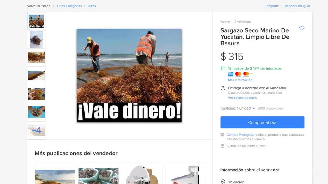 Compra tu sargazo hoy; venden en línea alga invasora hasta en 3 mil pesos