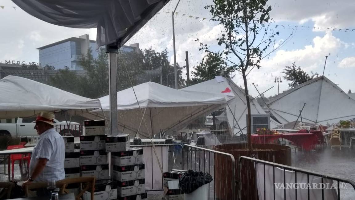 $!Tromba causa caos en norte de Saltillo; caen árboles y panorámicos