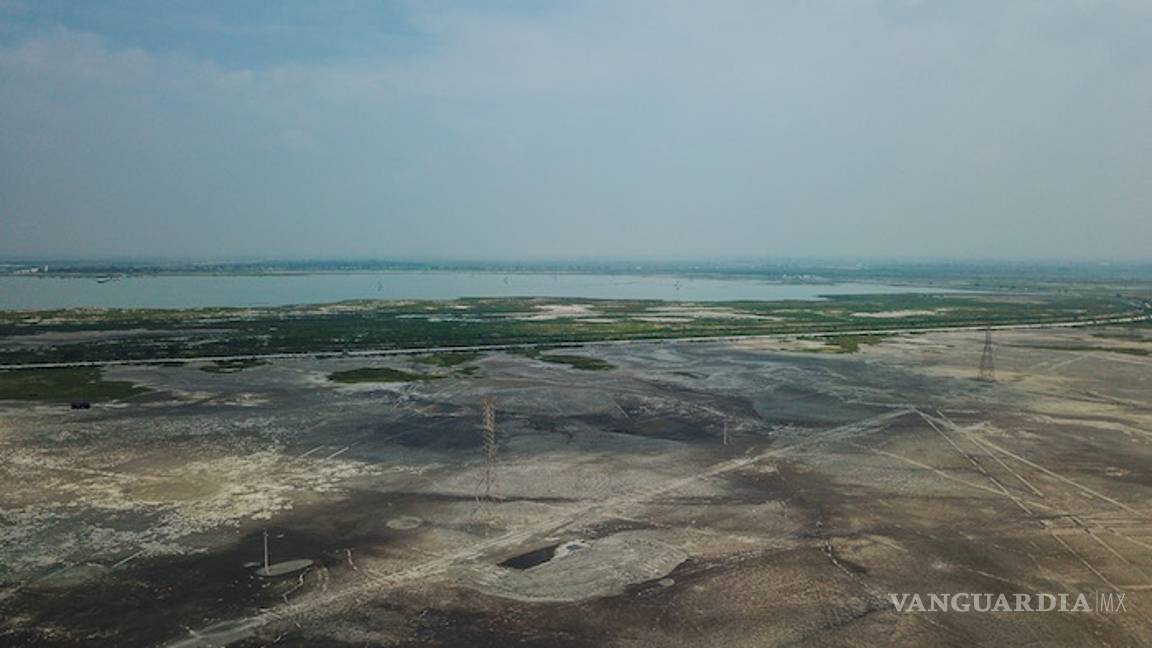 $!Constructores del NAIM mienten, “es una farsa” que pueda salvar flora y fauna de Texcoco: especialista