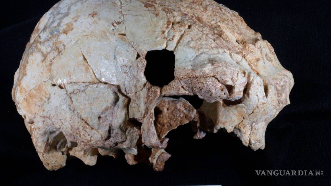 $!Hallan en Portugal uno de los fósiles humanos más antiguos de Europa