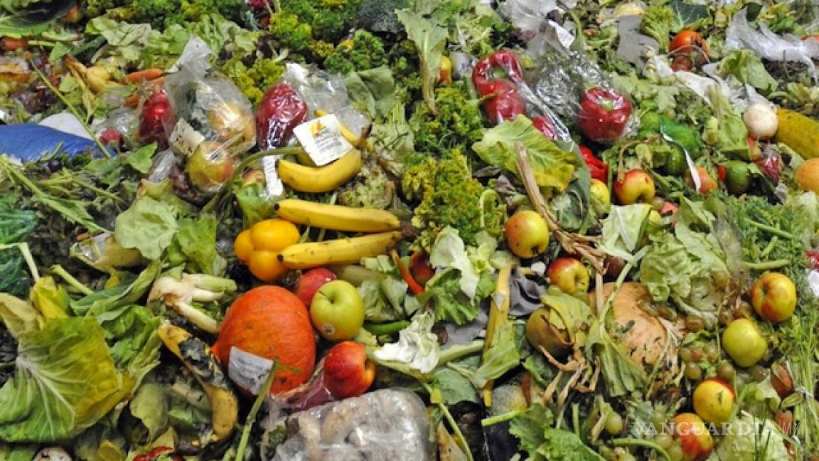 Desperdicia México 20 millones de toneladas de comida cada año: Banco Mundial