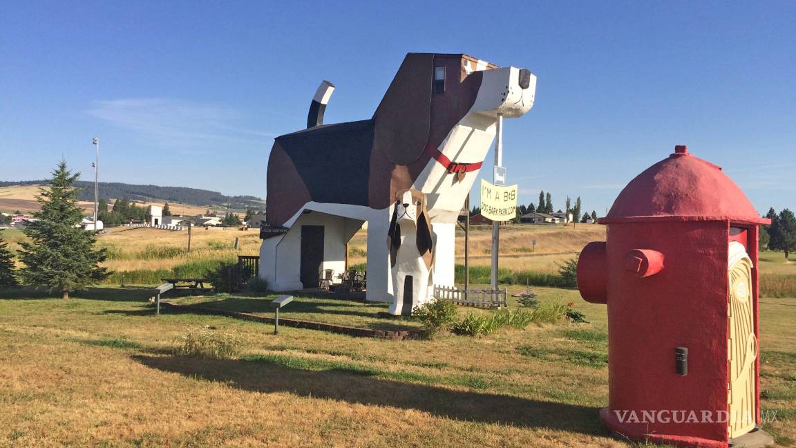 $!Estos son los hoteles más curiosos