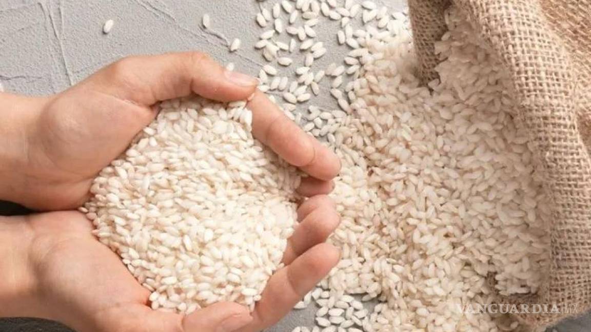 ¿El arroz que comes es de ‘plástico’?... te contamos si en verdad existe y cómo detectarlo