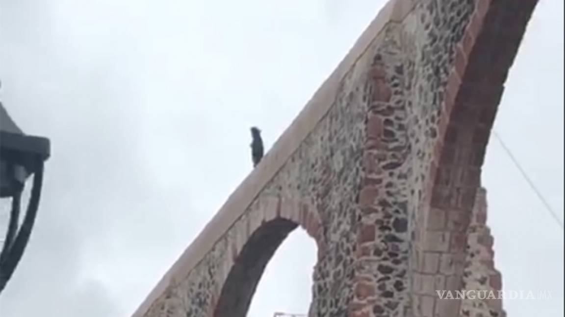 Hombre se pasea por Los Arcos de Querétaro amenazando con suicidarse