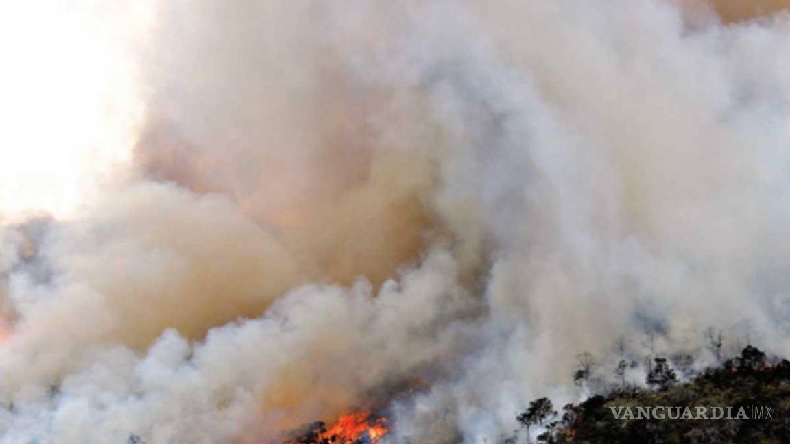 México en llamas; suman 135 incendios forestales