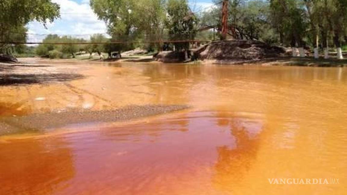 $!La Secretaría de Medio Ambiente y Recursos Naturales presentó un dictamen en el que concluyó que los esfuerzos de la firma habían sido insuficientes