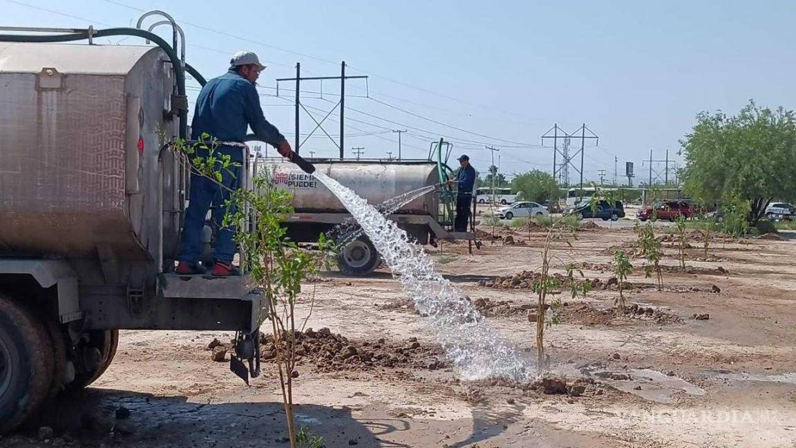 Cuadrillas del Ayuntamiento de Torreón sondean espacios para reforestar con inteligencia