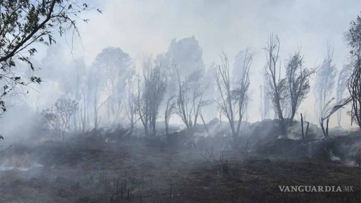 Incendio en Xochimilco se extiende; cierran circulación en la zona